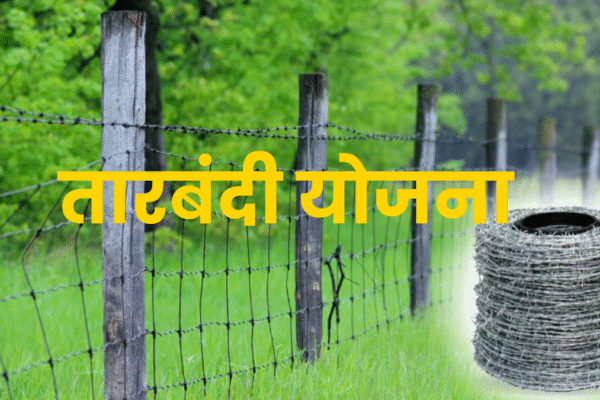 tarbandi yojana rajasthan