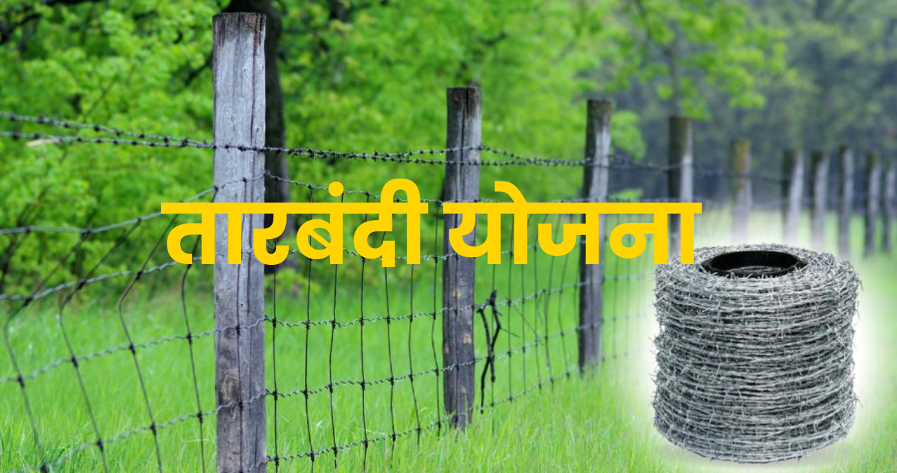 tarbandi yojana rajasthan